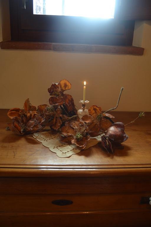 Cortona Holiday Home חדר תמונה